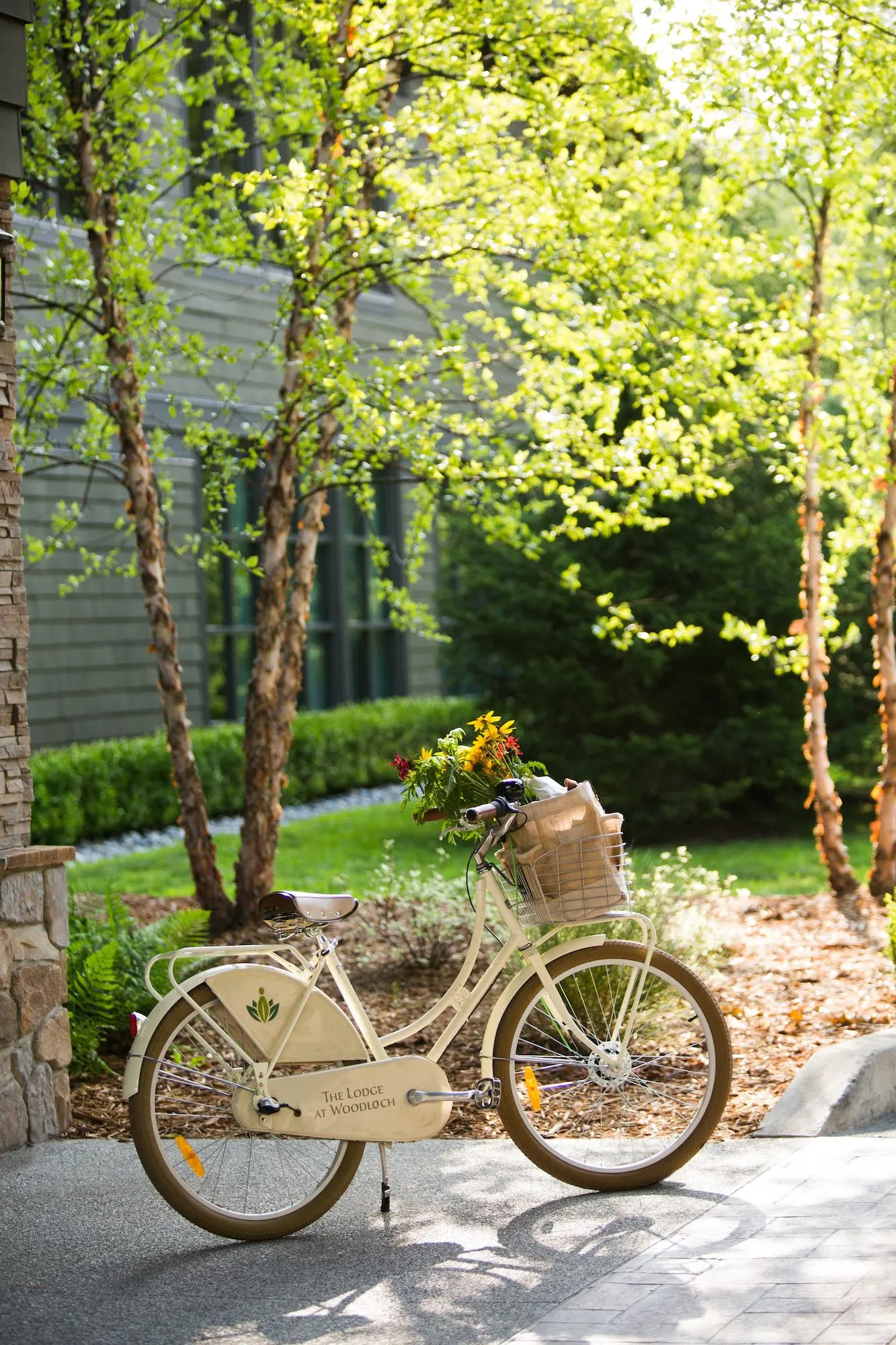 The Lodge at Woodloch Bike Cruiser
